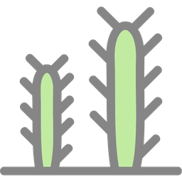 Cactus  Icon