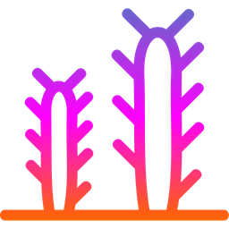 Cactus  Icon