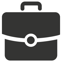 Bag  Icon