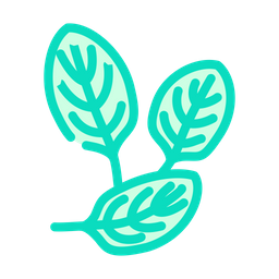 Spinach  Icon