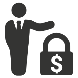 Business security  Icon