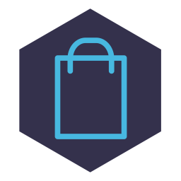 Carry bag  Icon