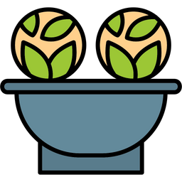 Cabbage  Icon