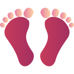 Digital footprint  Icon