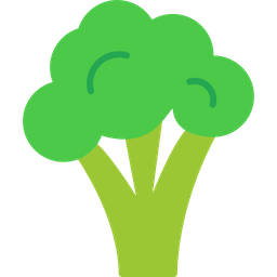 Broccoli  Icon