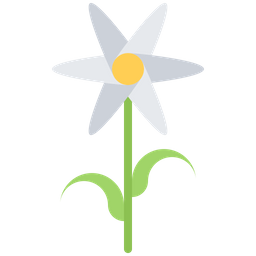 Flower  Icon