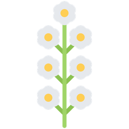 Flower  Icon