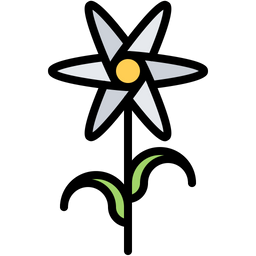 Flower  Icon