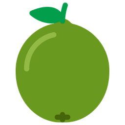 Guava  Icon