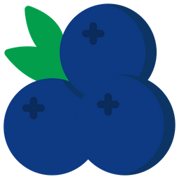 Blueberry  Icon