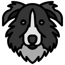 Border Collie  Icon