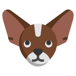 Chihuahua  Icon