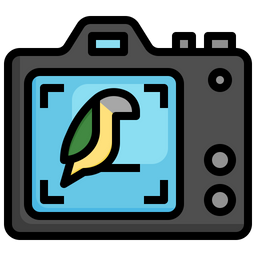 Fucus  Icon