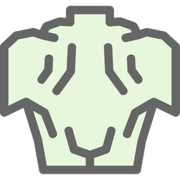 Anatomy  Icon