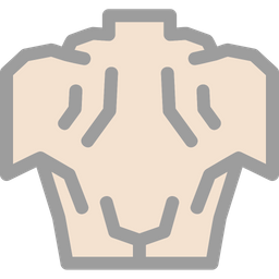 Anatomy  Icon