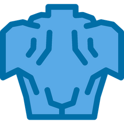 Anatomy  Icon