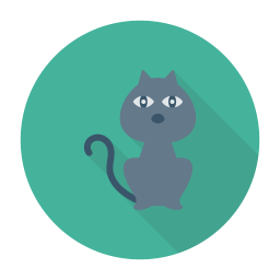 Cat  Icon