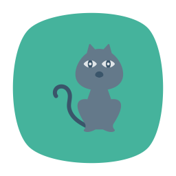 Cat  Icon