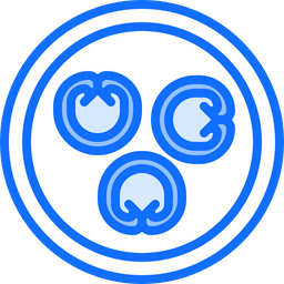 Dumplings  Icon