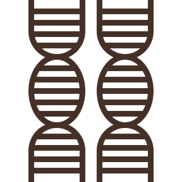 Dna  Icon