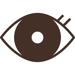 Eye  Icon