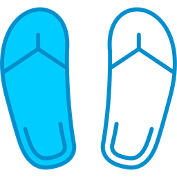 Flip Flops  Icon