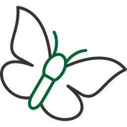 Butterfly  Icon