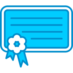 Digital Certificate  Icon