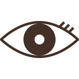 Eye vision  Icon