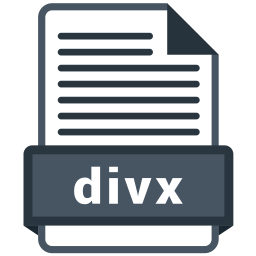 Divx file  Icon