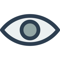 Eye  Icon