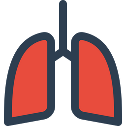 Lungs  Icon