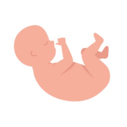 Bebé recién nacido  Icono