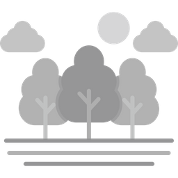 Forest  Icon