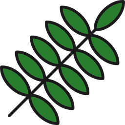 Fern  Icon