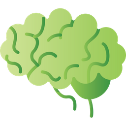 Brain  Icon