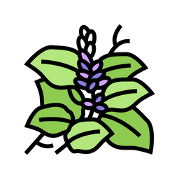 Kudzu  Icon