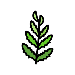 Fern  Icon