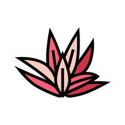 Cryptocoryne  Icon