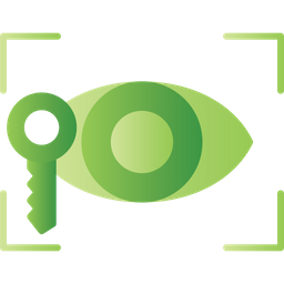 Eye Recognition  Icon