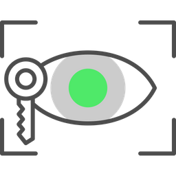 Eye Recognition  Icon