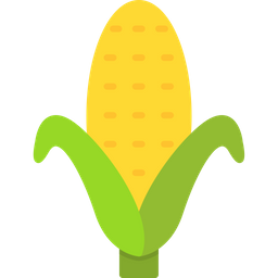 Corn  Icon