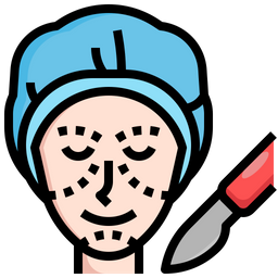 Cosmetic Surgery  Icon