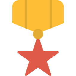 Army Medal  Icon