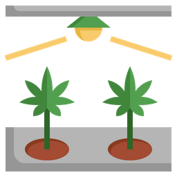 Granja de cannabis  Icono