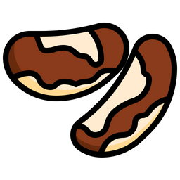 Brazil Nut  Icon