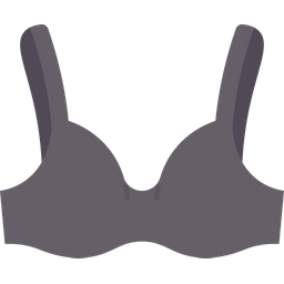 Bra  Icon