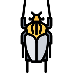 Beetle  Icon