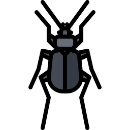 Beetle  Icon