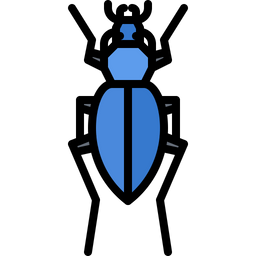 Beetle  Icon